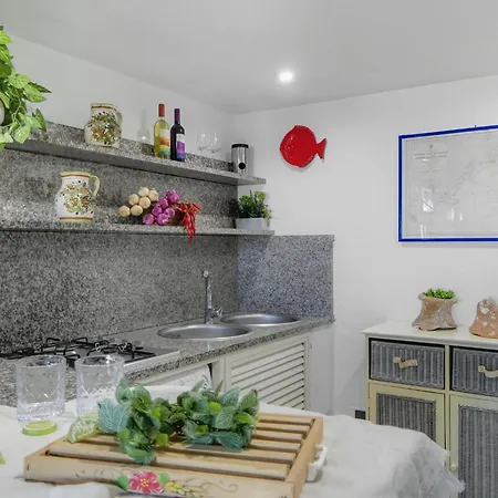 Petunia By Interhome *